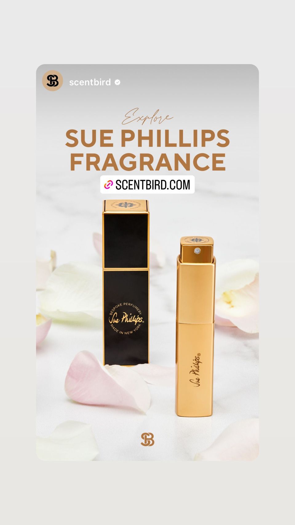 Scentbird | Live Summer Scent School Interview x @scentfullysue on IG LIVE