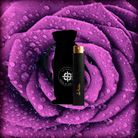 Modern Rose Perfume - 10ml PurseAtomizer-BlackGold-Black