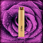 Modern Rose Perfume - 10ml-gold