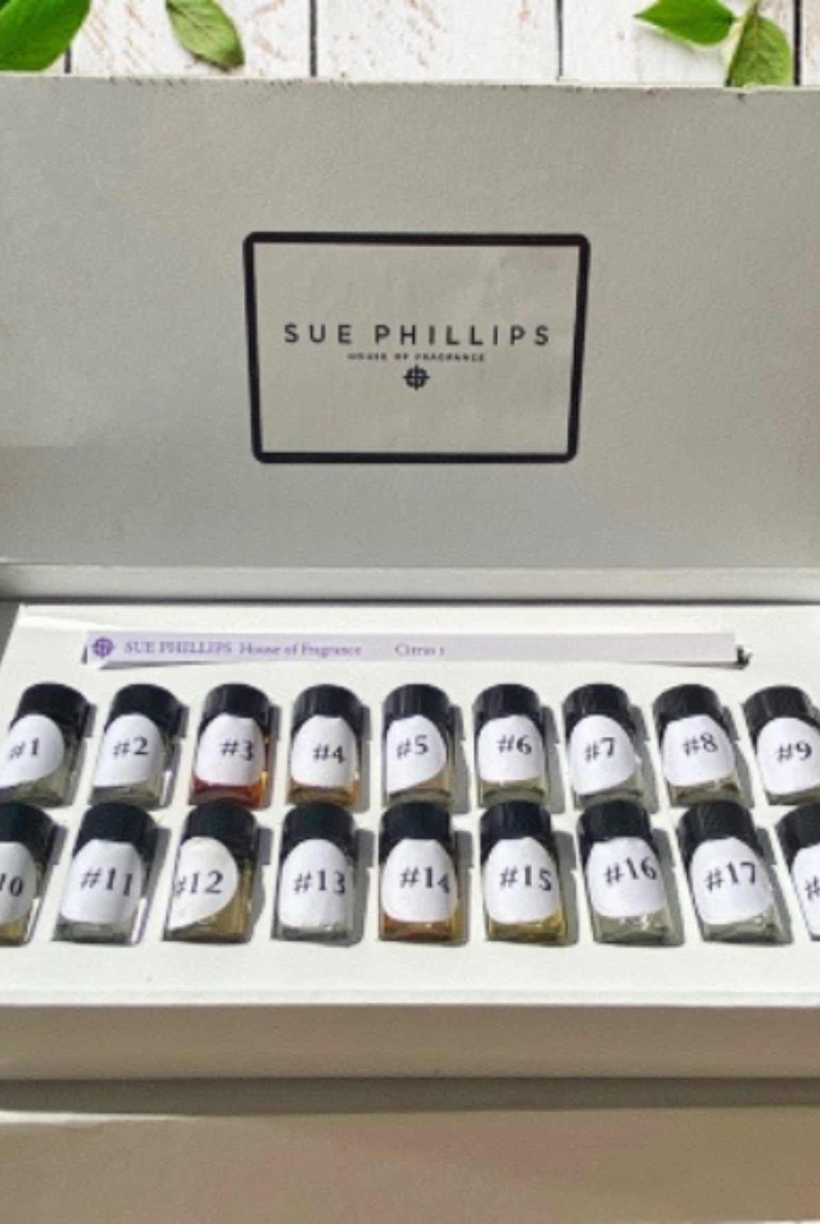 perfume kit - anosmia