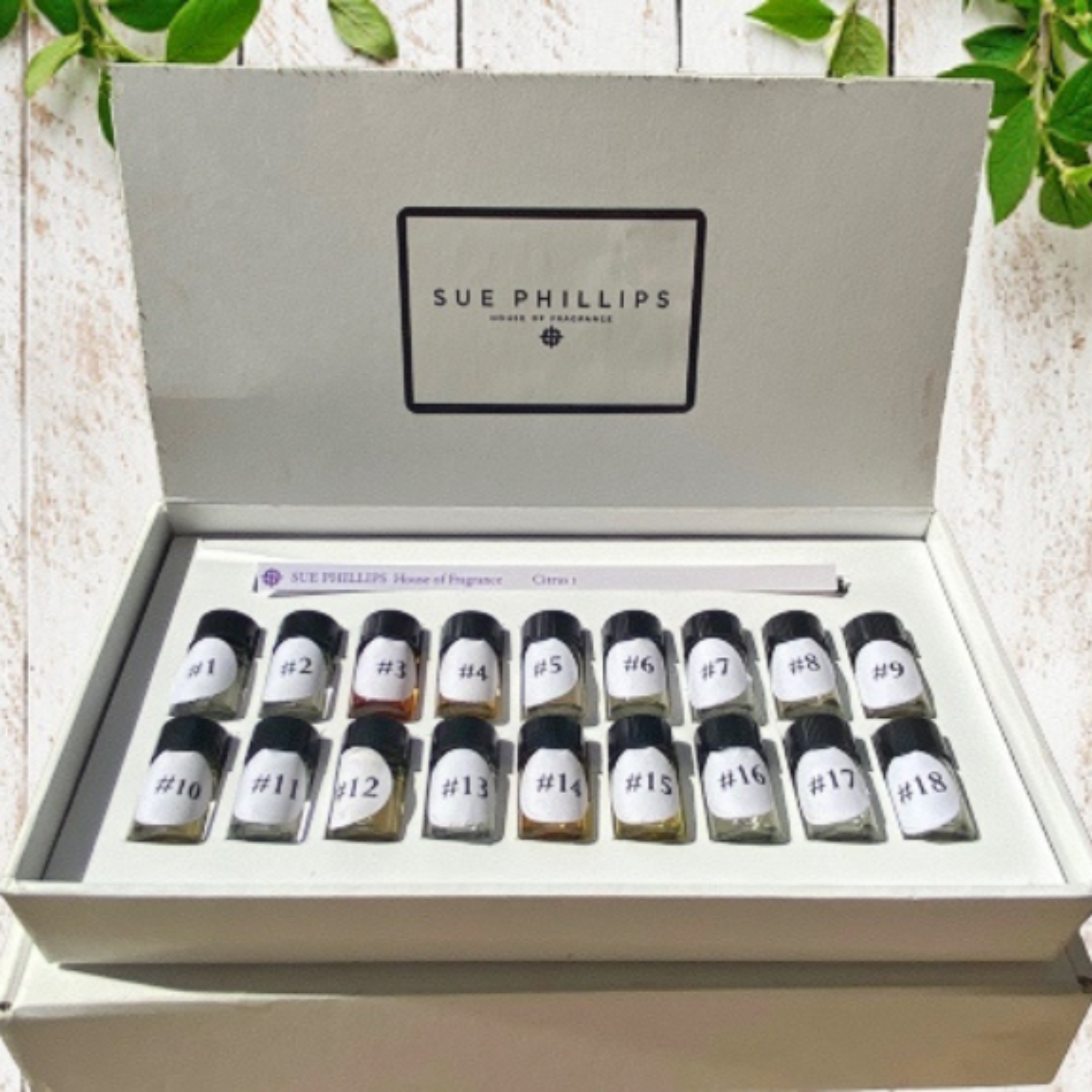 perfume kit - anosmia