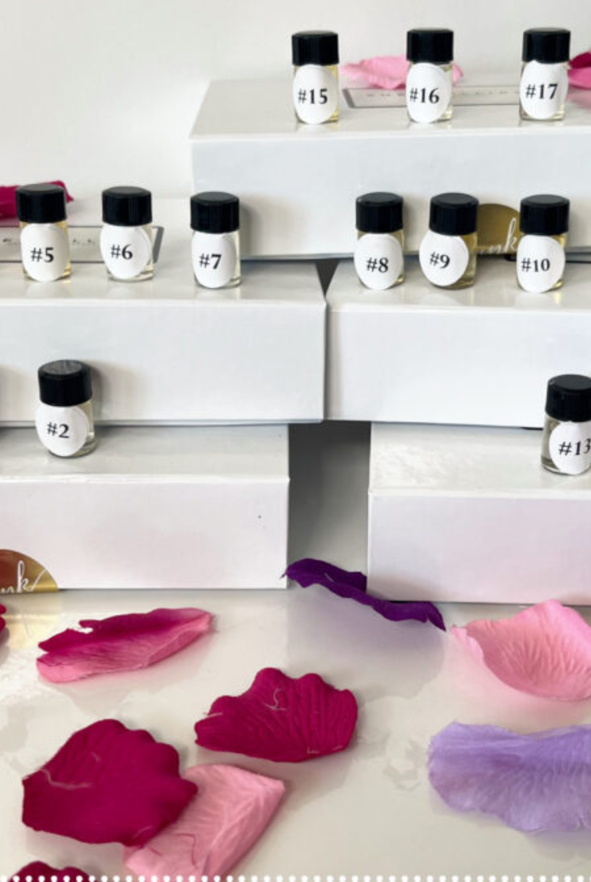 perfume kit  blends