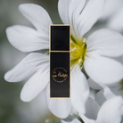 Musky Perfume - 20ml-black-gold