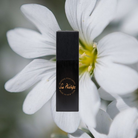 Musky Perfume - 20ml-black