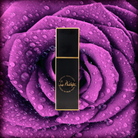 Best Rose Perfume - 20ml-black-gold