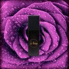 Best Rose Perfume - 20ml-brushed-black