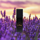 Best Herbal Perfume - 20ml-black
