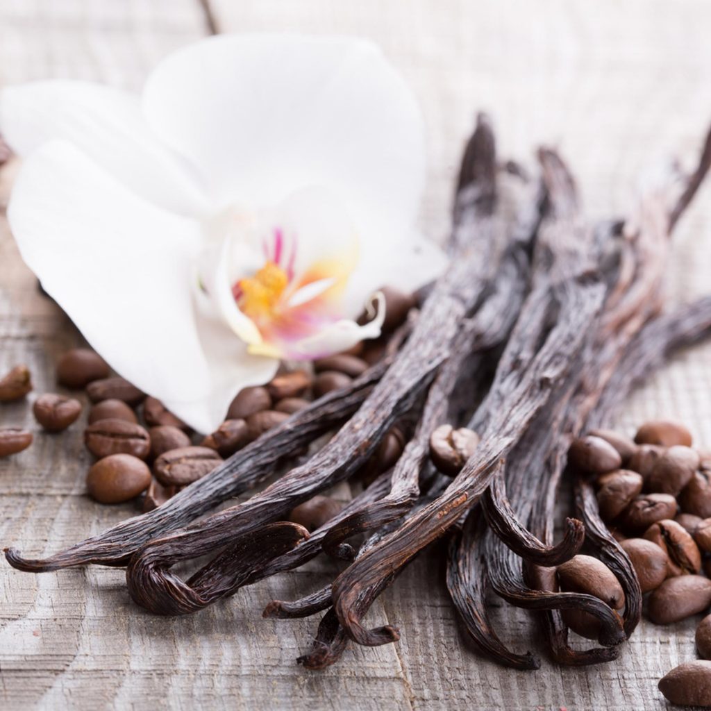 Fragrance Belles Lettres Reviews Scenterprises Balsamic Vanilla