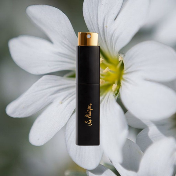 Musky Perfume  - 10ml-black-gold