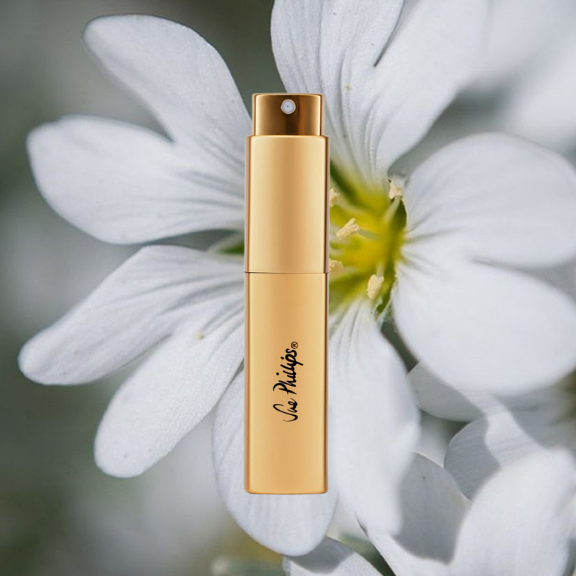 Musky Perfume  - 10ml-gold