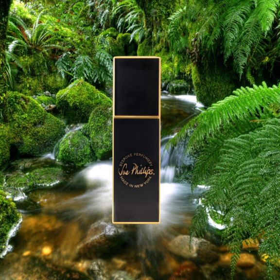 Smooth Amber Perfume – Sue Phillips Fragrance