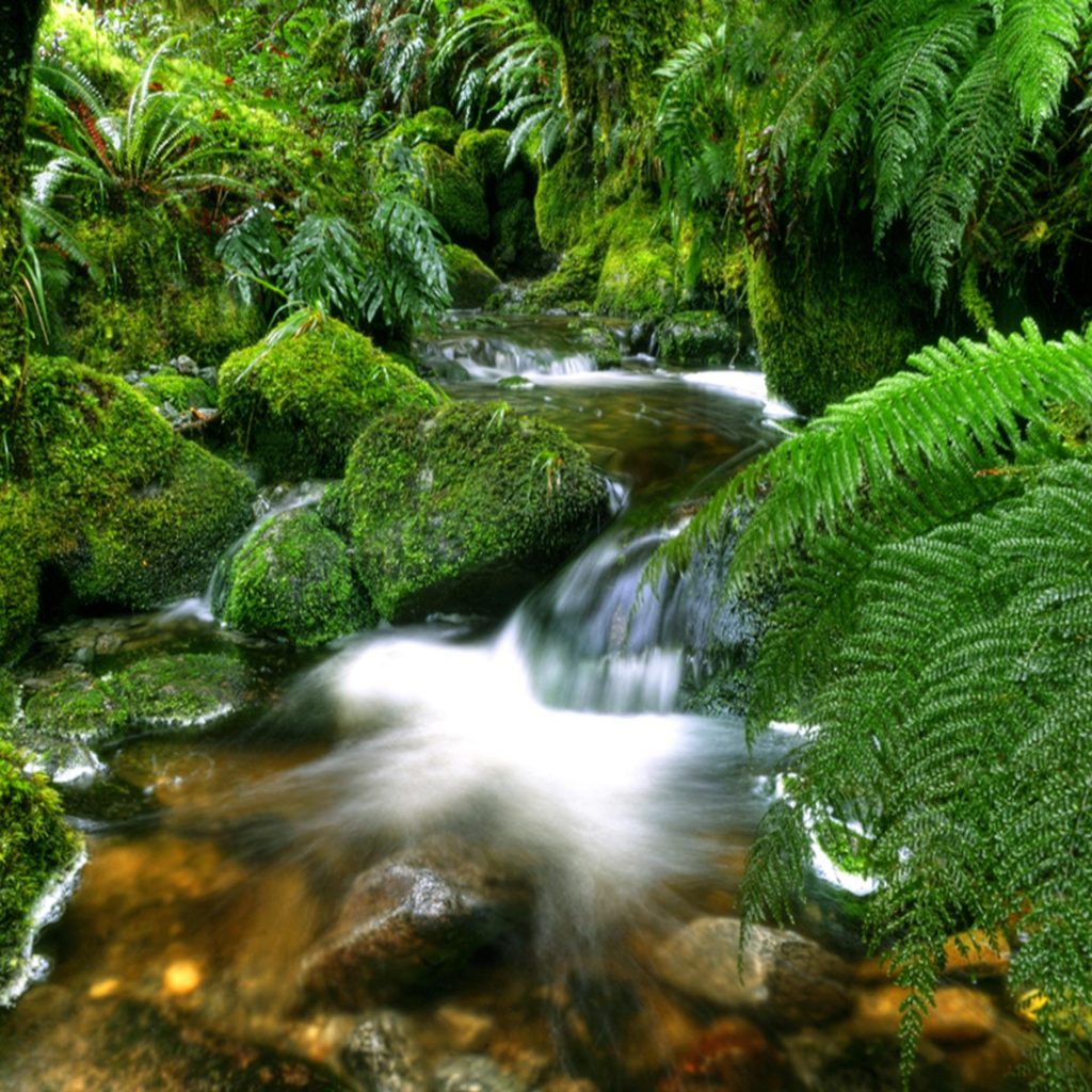 Earthy Perfumes - earthy-mossy
